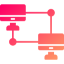 network